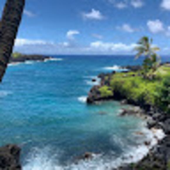 Meet your Posher, Sarah - Picture 1 of 1